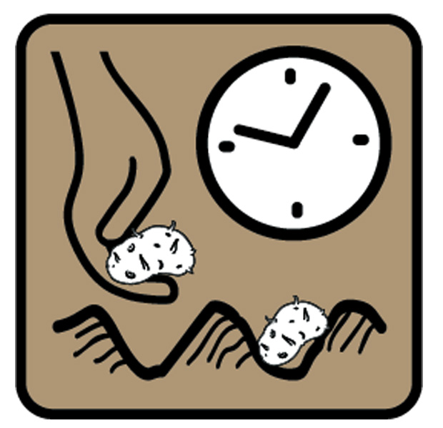 Epoque de plantation